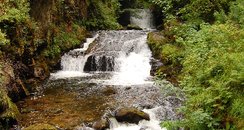 Dartmoor River