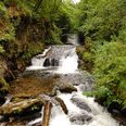 Dartmoor River