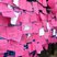 150. Welwyn Hatfield Race for Life 
