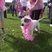 88. Race for Life Sherbourne 8