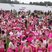 25. RFL Poole - The Warm Up 25