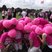 46. Race for Life Bristol 5k Sunday 31