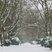 69. Winter Wonderland