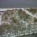 3. Cambs Snow Pics 1