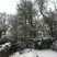 71. Harpenden, Hertfordshire