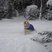 7. Snow Pics from Facebook 11