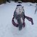 15. Snow Pics from Facebook 19
