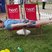 14. Heart at The Royal Bath & West Show Wednesday 27