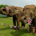 Woburn Jubilee Celebrations