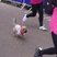 67. Trent Park Race For Life 4