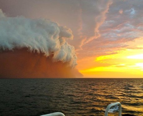 weird wonderful pictures of the week 18 january 2013 heart fm