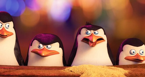 sky, penguins