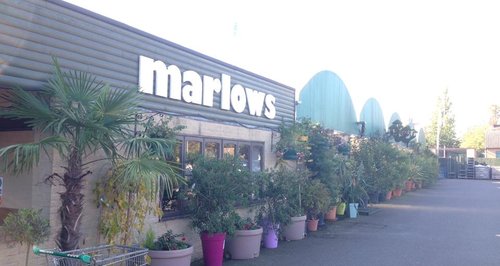 Marlows