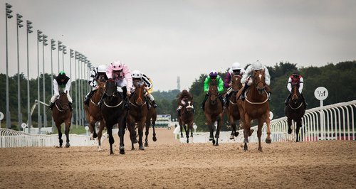 horse racing