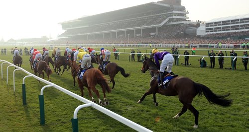 Hope the Cheltenham trials are rubbish :)